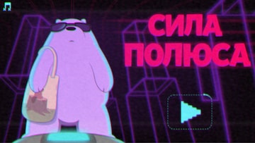Сила Полюса