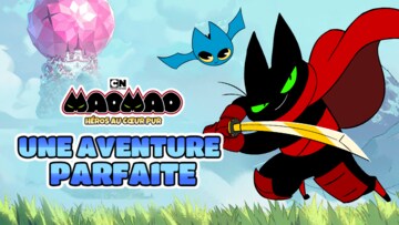Une aventure parfaite