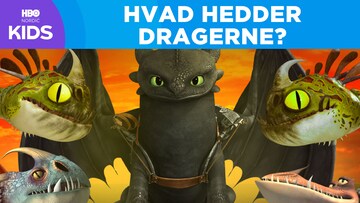 Hvad hedder dragerne i: Dragerytterne Kapløb til kanten?