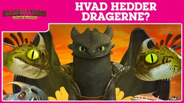 Hvad hedder dragerne i: Dragerytterne Kapløb til kanten?