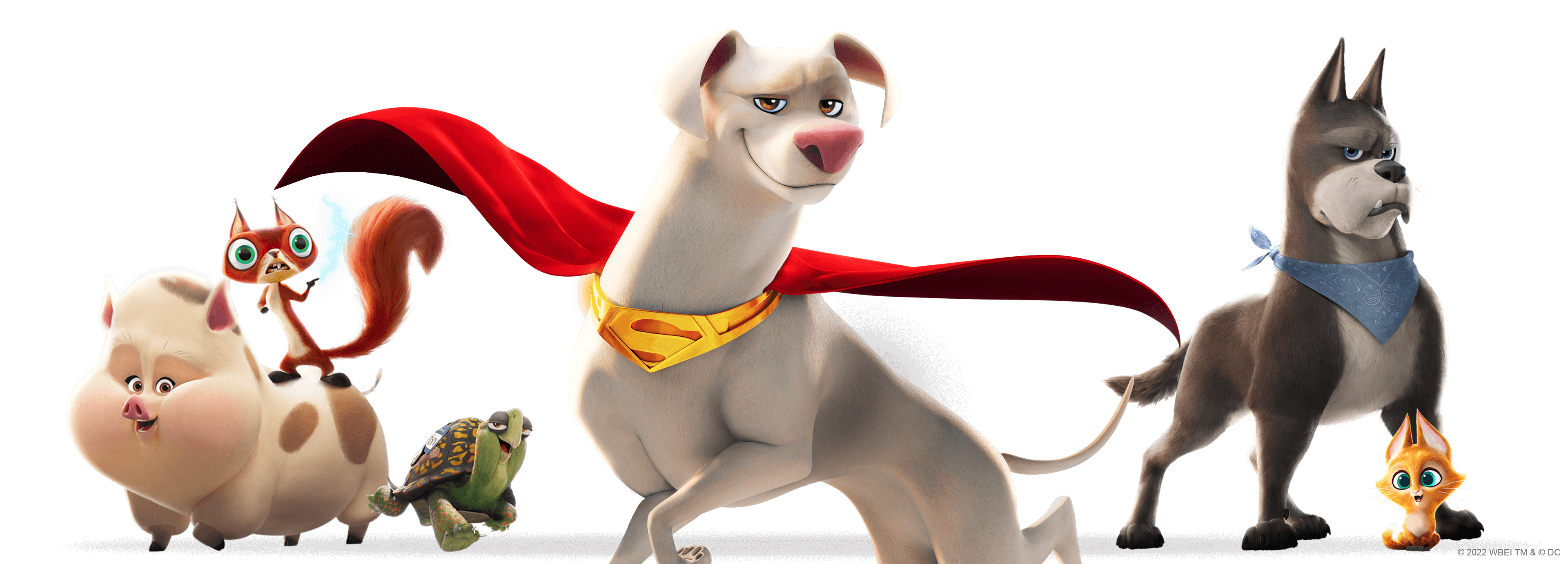 DC League of Superpets | Videos and Downloads | Cartoon Network